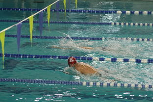 开云体育app在线-全国公开水域游泳赛长江赛段人气爆棚